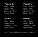 Мужское Утепленное Мятное Худи с Микки Маусом на Спине - Трехнитка на Флисе