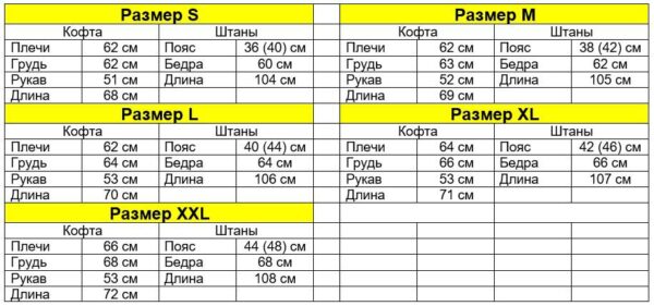 Мужской Утепленный Зеленый Спортивный Костюм Кофта и Штаны на Флисе с Лампасами и Надписью на Спине “Champion Boys”