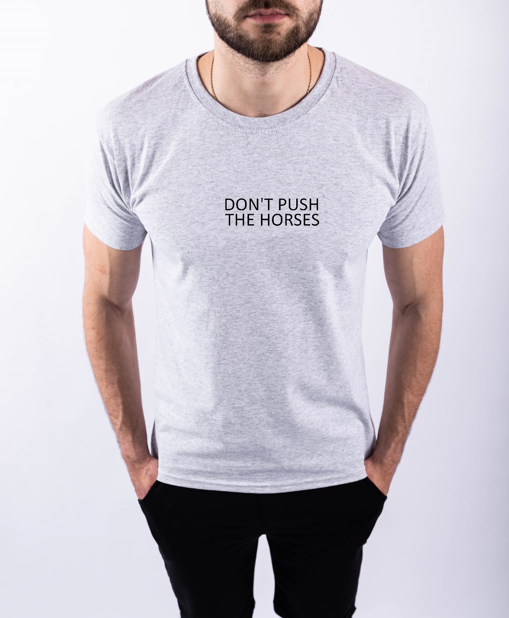 photo_2025-07-28_09-52-28 Мужская Базовая Хлопковая Серая Футболка с Надписью "Don't Push The Horses"