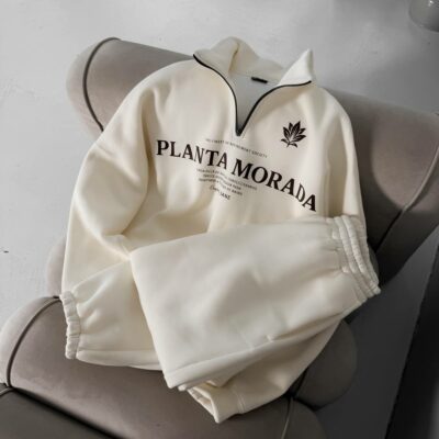 Мужской Теплый Серый Спортивный Костюм "Planta Morada" с Начесом - Кофта с Коротким Замком + Штаны