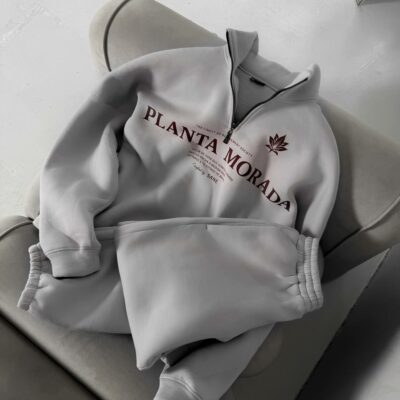 Мужской Теплый Серый Спортивный Костюм "Planta Morada" с Начесом - Кофта с Коротким Замком + Штаны