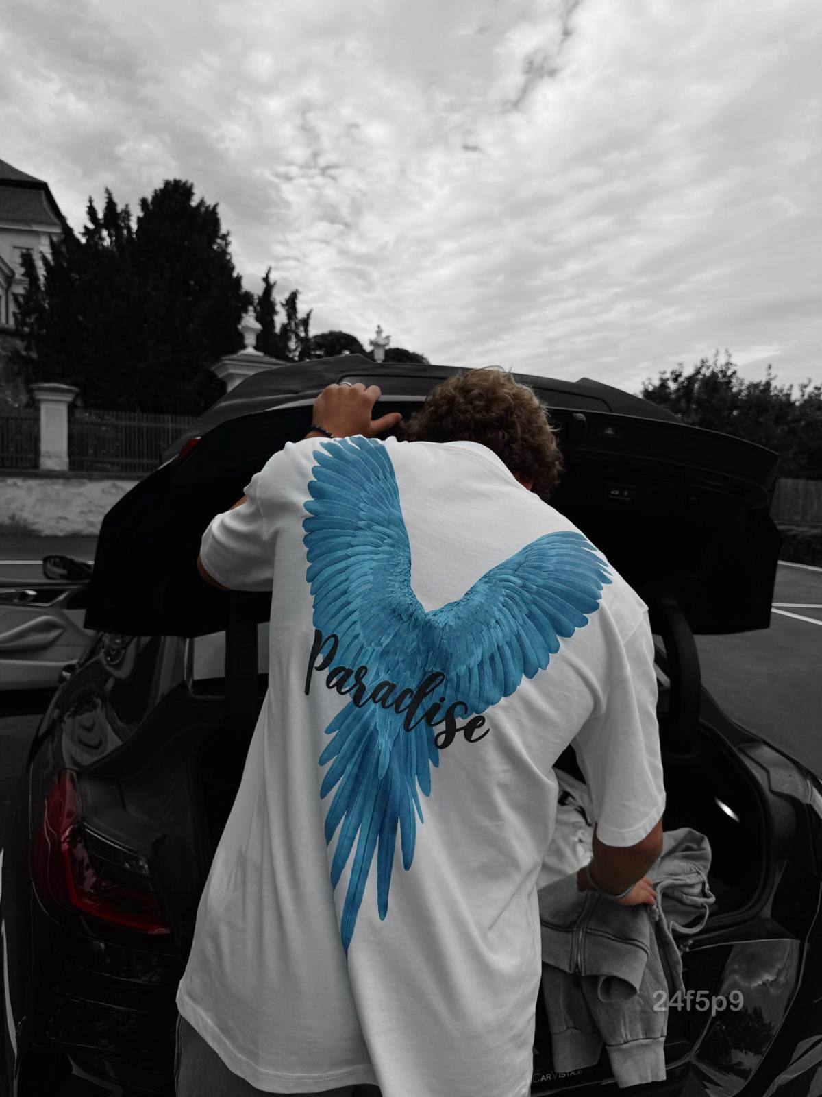 photo_2026-03-19_10-34-08 Мужская Объемная Хлопковая Белая Футболка Оверсайз с Принтом Птица на Спине